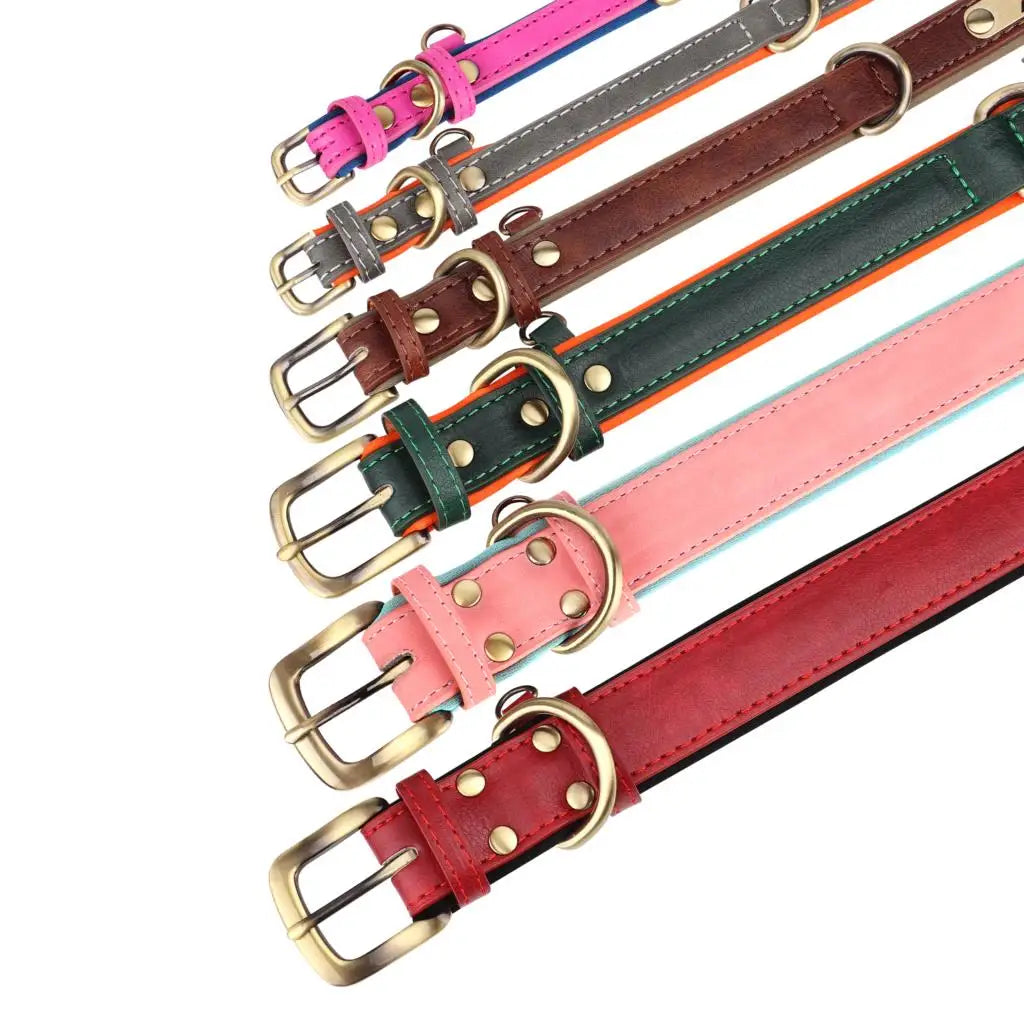 Ensemble Collier + Laisse Personnalisé pour Chien en Simili-Cuir – Plaque Gravée Offerte