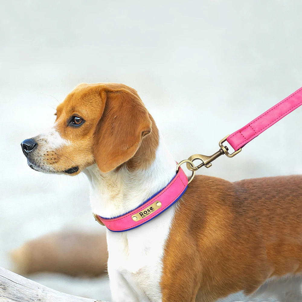 Ensemble Collier + Laisse Personnalisé pour Chien en Simili-Cuir – Plaque Gravée Offerte